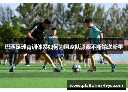 巴西足球青训体系如何为国家队源源不断输送新星