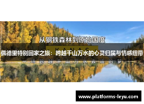 佩德里特别回家之旅：跨越千山万水的心灵归属与情感纽带