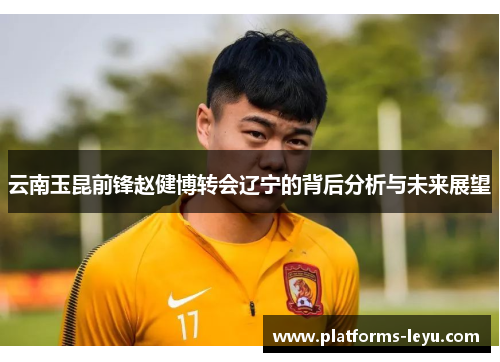 云南玉昆前锋赵健博转会辽宁的背后分析与未来展望