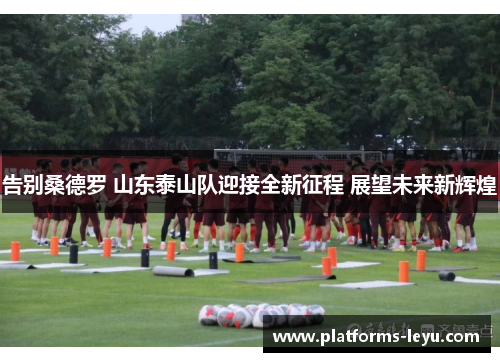 告别桑德罗 山东泰山队迎接全新征程 展望未来新辉煌