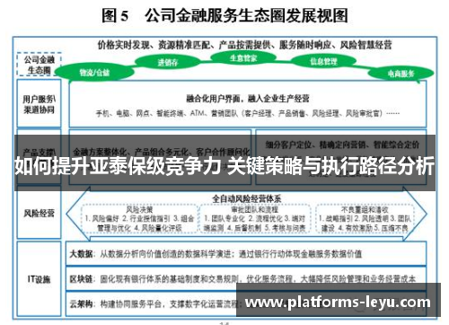 如何提升亚泰保级竞争力 关键策略与执行路径分析