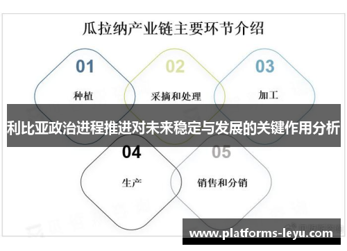 利比亚政治进程推进对未来稳定与发展的关键作用分析