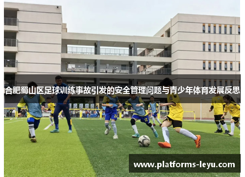 合肥蜀山区足球训练事故引发的安全管理问题与青少年体育发展反思