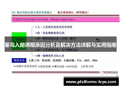 塞鸟入籍遇阻原因分析及解决方法详解与实用指南