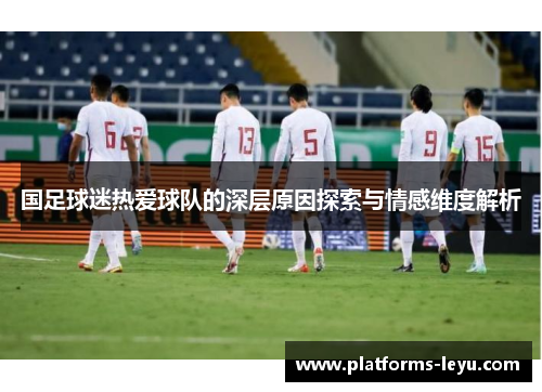 国足球迷热爱球队的深层原因探索与情感维度解析