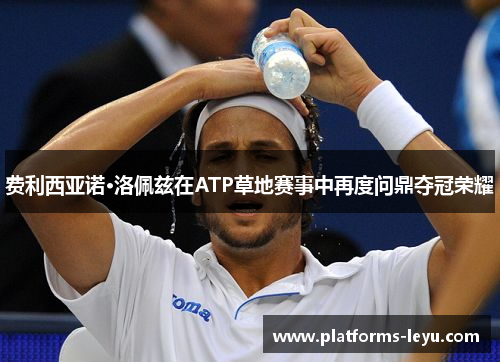 费利西亚诺·洛佩兹在ATP草地赛事中再度问鼎夺冠荣耀 费利西亚诺·洛佩兹在ATP草地赛事中再度问鼎夺冠荣耀
