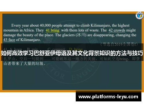 如何高效学习巴舒亚伊母语及其文化背景知识的方法与技巧