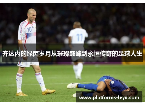 齐达内的绿茵岁月从璀璨巅峰到永恒传奇的足球人生