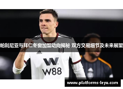 帕利尼亚与拜仁冬窗加盟动向揭秘 双方交易细节及未来展望 帕利尼亚与拜仁冬窗加盟动向揭秘 双方交易细节及未来展望