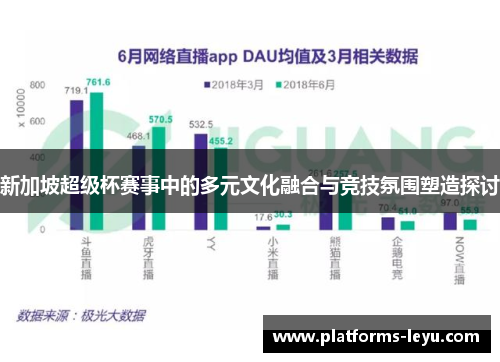 新加坡超级杯赛事中的多元文化融合与竞技氛围塑造探讨