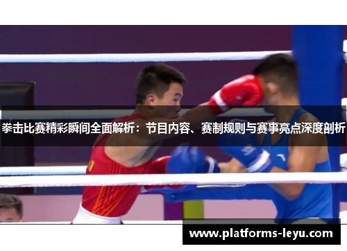 拳击比赛精彩瞬间全面解析：节目内容、赛制规则与赛事亮点深度剖析